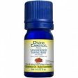 Divine essence - sandalwood (south pacific) wild - 15 ml For Discount