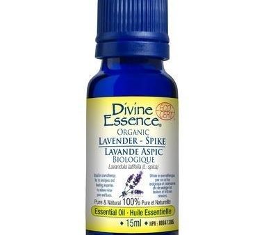 Divine essence - spike lavender organic Supply