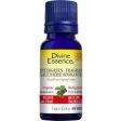 Divine essence - wintergreen fragrant  organic Online Sale