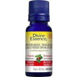 Divine essence - wintergreen fragrant  organic Online Sale