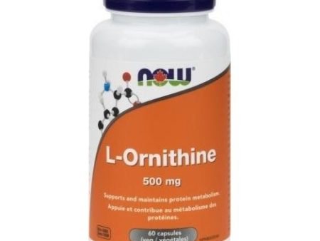 Now - l-ornithine 500 mg - 60 vcaps Online Hot Sale