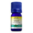 Divine essence - tarragon - 5 ml Discount