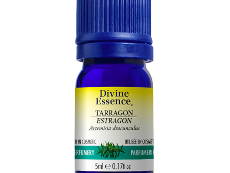 Divine essence - tarragon - 5 ml Discount