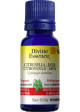 Divine essence - citronella oil (java, organic) - 15 ml For Sale