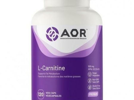 Aor - l-carnitine 500mg - 120 vcaps Hot on Sale