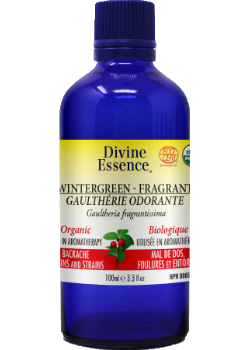 Divine essence - wintergreen fragrant  organic Online Sale