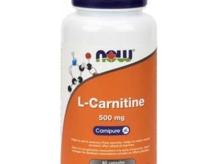 Now - l-carnitine For Cheap