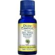 Divine Essence - Pine – White Discount