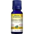 Divine essence - ceylon citronella organic - 15 ml Online now