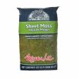 Mosser Lee Natural Green Sheet Moss Online now