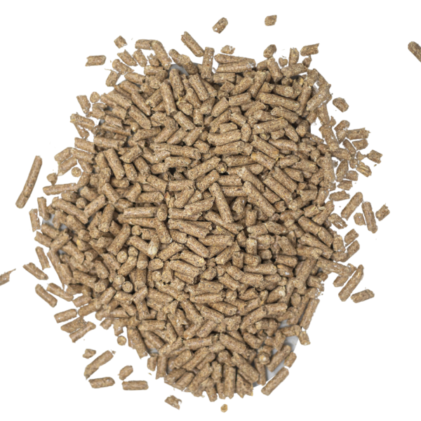 Umbarger SynUrgy Show Cattle Feed on Sale