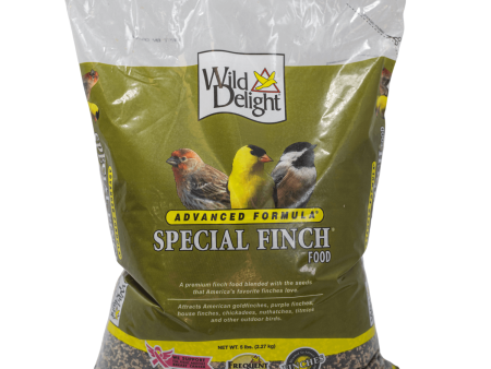 Wild Delight Special Finch Food Fashion