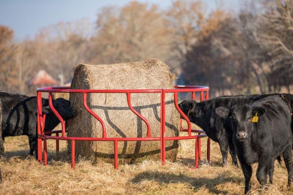 Titan Cattle Feeder For Discount