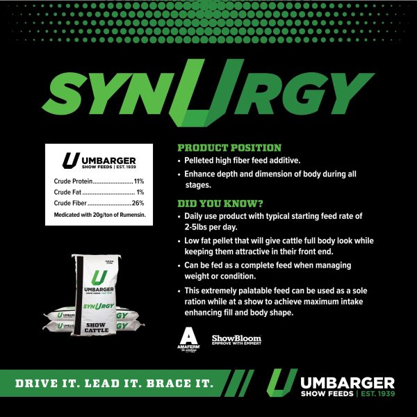 Umbarger SynUrgy Show Cattle Feed on Sale