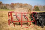 Titan Cattle Feeder For Discount