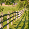 7 ft. Pressure Treated Wood Split Rail 3-Hole Line Post Supply