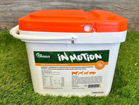 Sunglo In Motion Show Feed Supplement on Sale