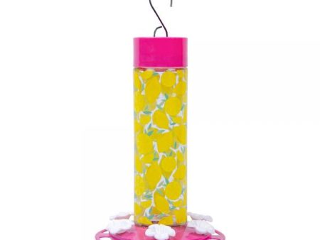 Citrus Hummingbird Bird Feeder For Cheap