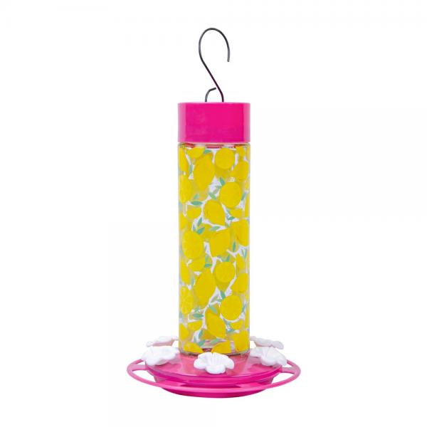 Citrus Hummingbird Bird Feeder For Cheap