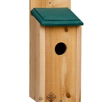 Outdoors Eastern Bluebird House Online