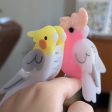 Cockatiel Hair Claw Sale