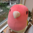 [B-GRADE] Mango the Fischer s Lovebird Plushie on Sale