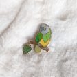 Senegal Parrot Pin Online