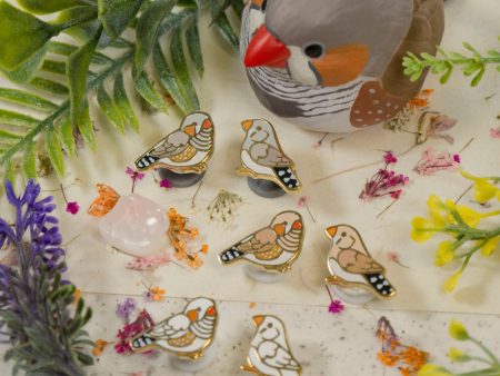 Zebra Finch Mini Pin Supply