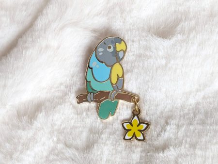 Meyer s Parrot Pin For Cheap